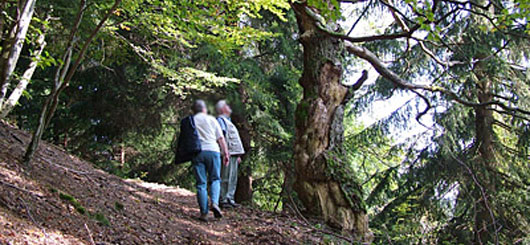 Wandern in Deutschland Wandern in Deutschland